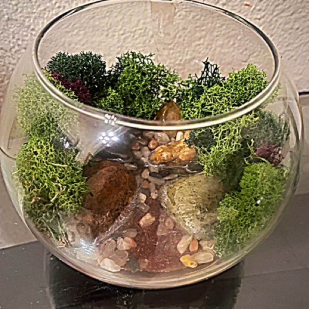 Terrarium home decor